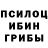 Псилоцибиновые грибы Psilocybine cubensis Patrik MorR
