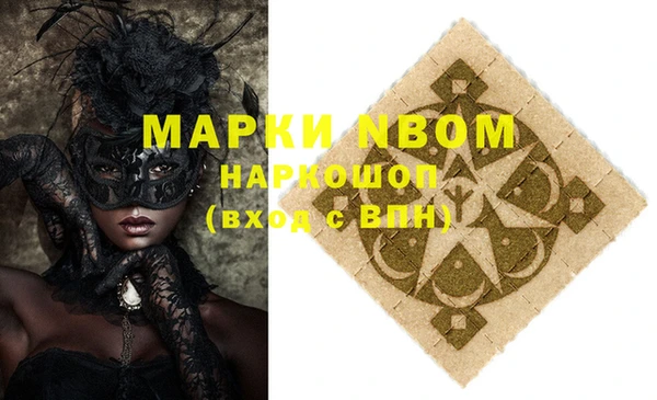 амф Новозыбков