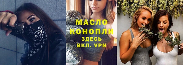 соль ск Няндома