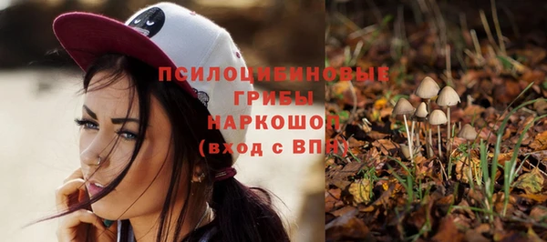 соль ск Няндома