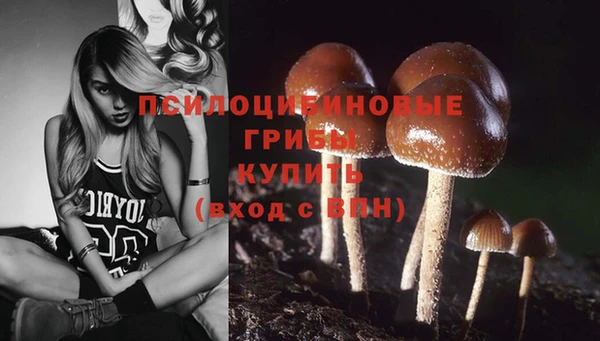 прущая мука Новодвинск