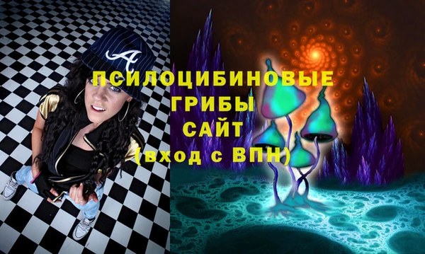 амф Новозыбков