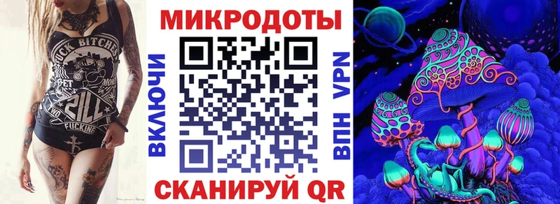 Псилоцибиновые грибы Cubensis  Себеж 